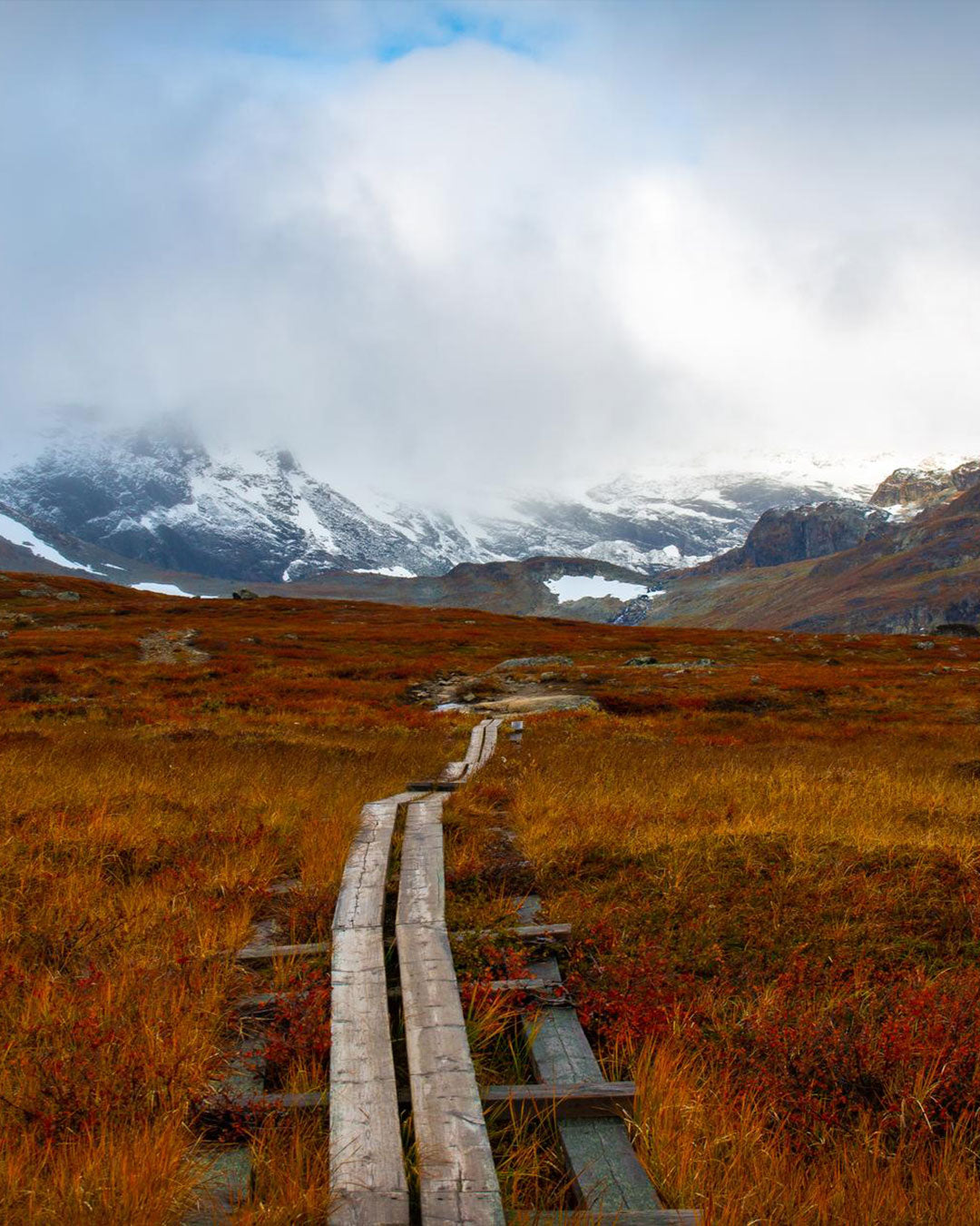 kungsleden.jpg